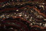 Polished Tiger Iron Stromatolite Section - Billion Years #353264-1